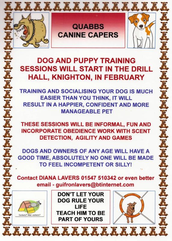 %filename | Dog Training at the Drill Hall